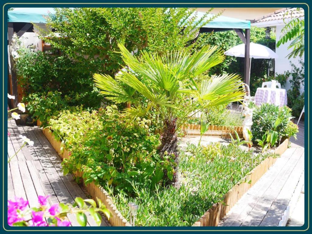 Les Embruns Mimizan-Plage Exterior foto